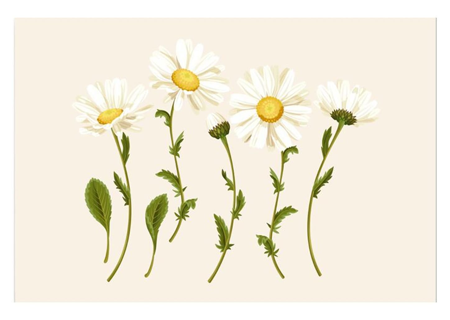 Placa Decorativa MDF Daisy 30x44cm - Design Up Living