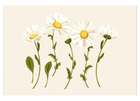 Placa Decorativa MDF Daisy 30x44cm - Design Up Living