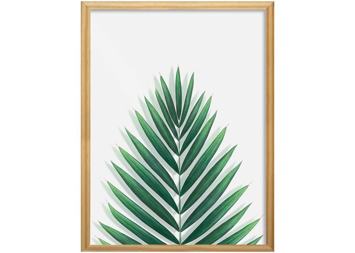 Quadro Decorativo Folhagens 22,5x32,5cm - Design Up Living