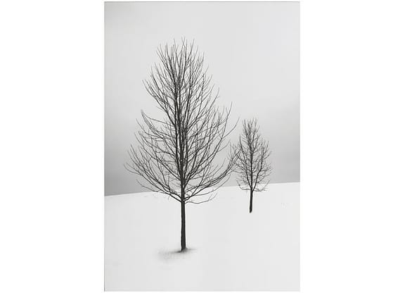 Placa Decorativa MDF Inverno 30x44cm - Design Up Living