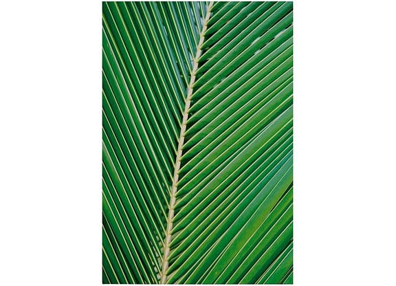 Placa Decorativa MDF Folha 30x44cm - Design Up Living