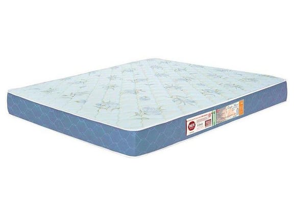 Colchão Casal Castor Espuma D-45 25cm de Altura - Sleep Max