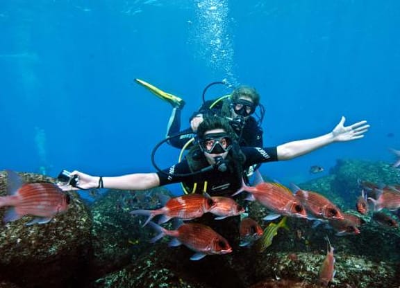 Presentes para a lua de mel Fernando de Noronha - Mergulho Batismo