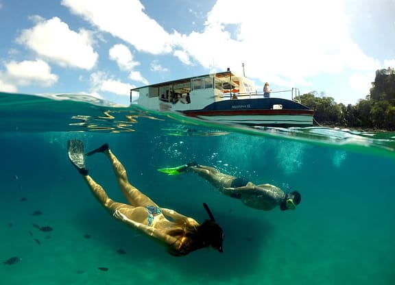 Presentes para a lua de mel Excursão de catamarã de meio dia no arquipélago de Fernando de Noronha