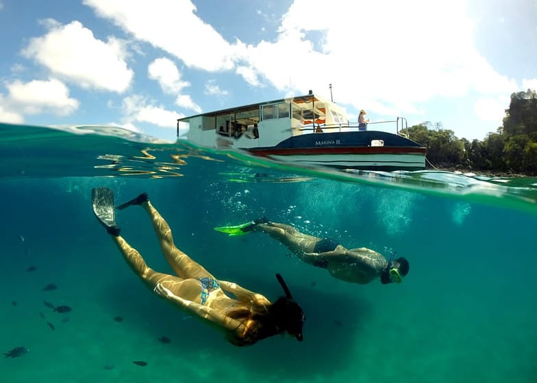 Excursão de catamarã de meio dia no arquipélago de Fernando de Noronha