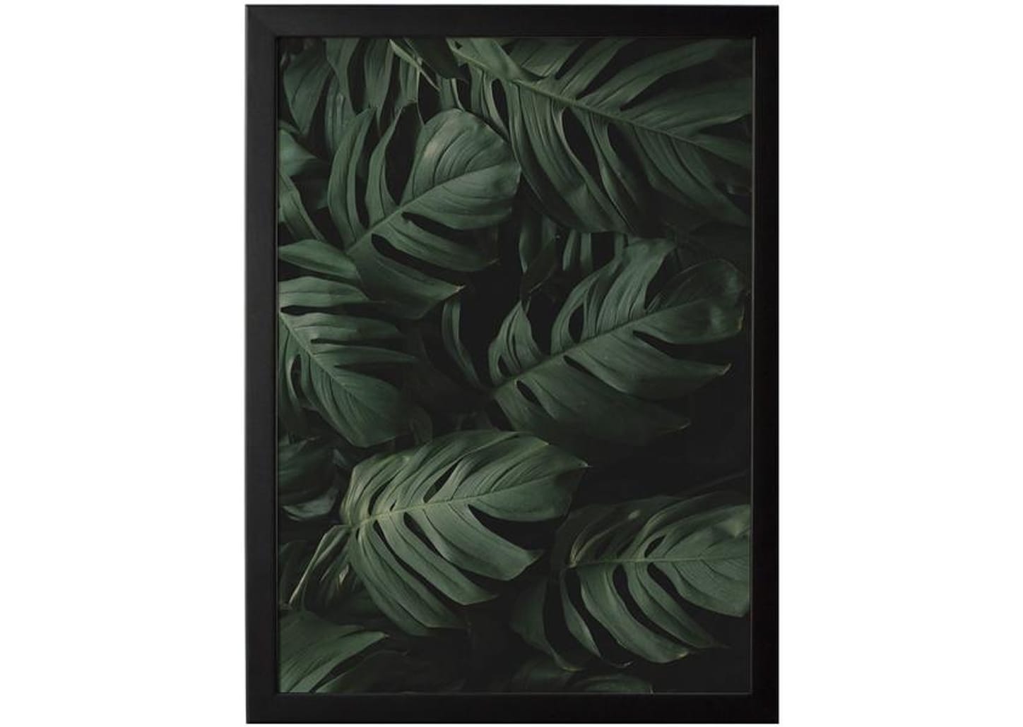 Quadro Decorativo Folhagem 35x47cm - Design Up Living