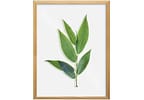 Quadro Decorativo Folhagens 22,5x32,5cm - Design Up Living