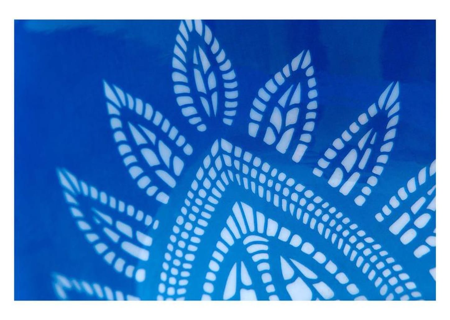 Bowl Mandacaru Martha Medeiros Céu 22cm