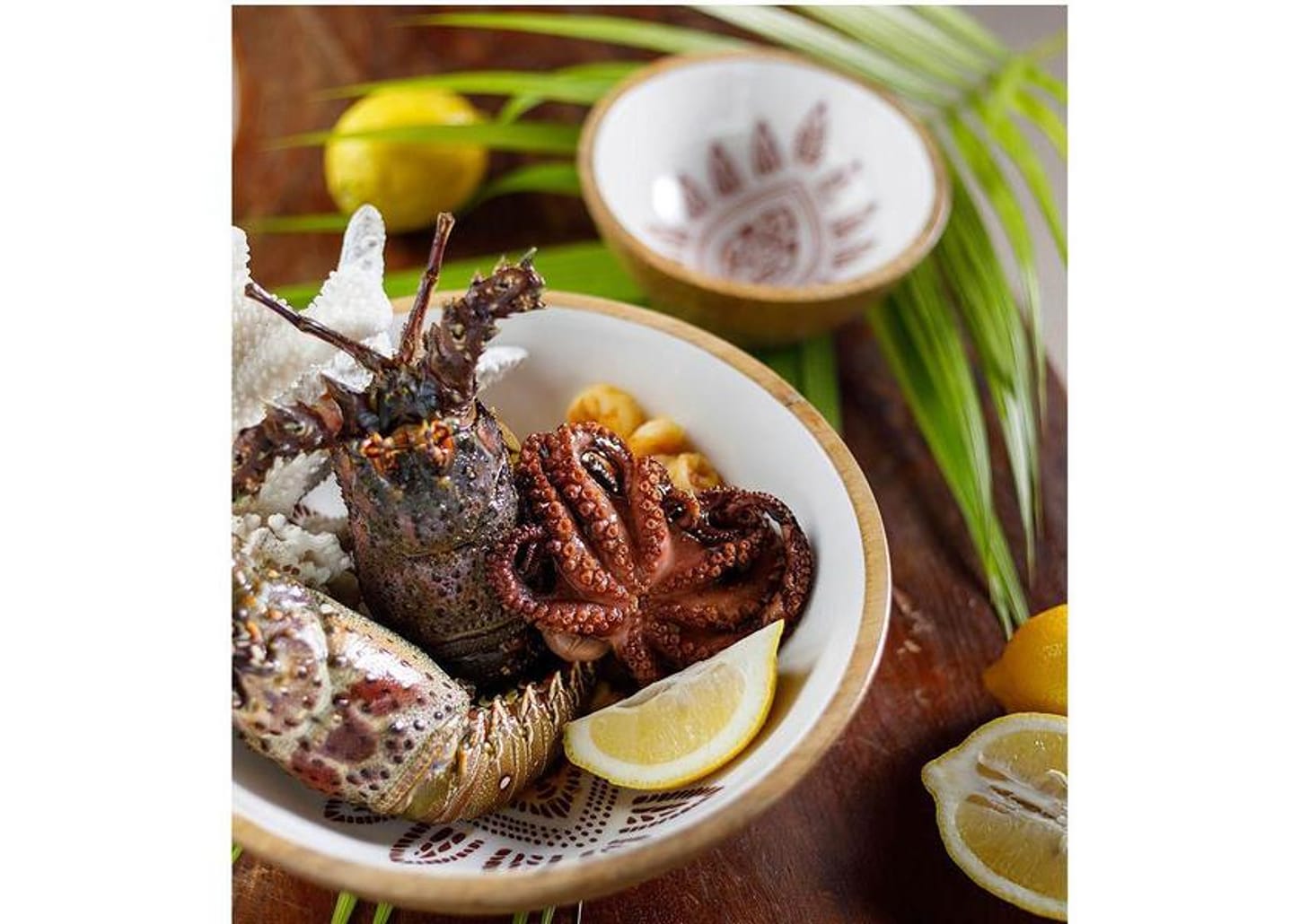 Bowl Mandacaru Martha Medeiros Terra 30cm