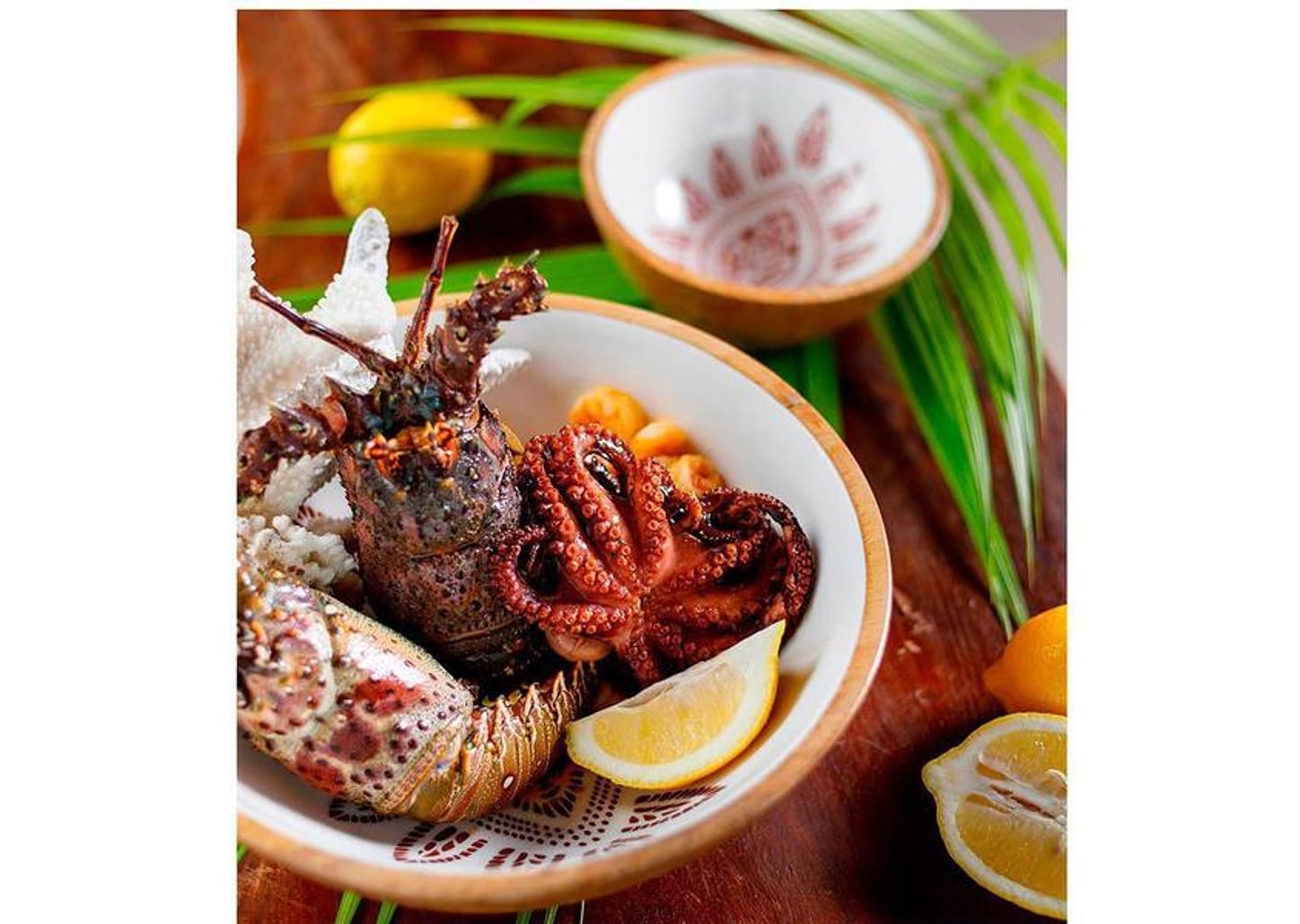 Bowl Mandacaru Martha Medeiros Terra 18cm