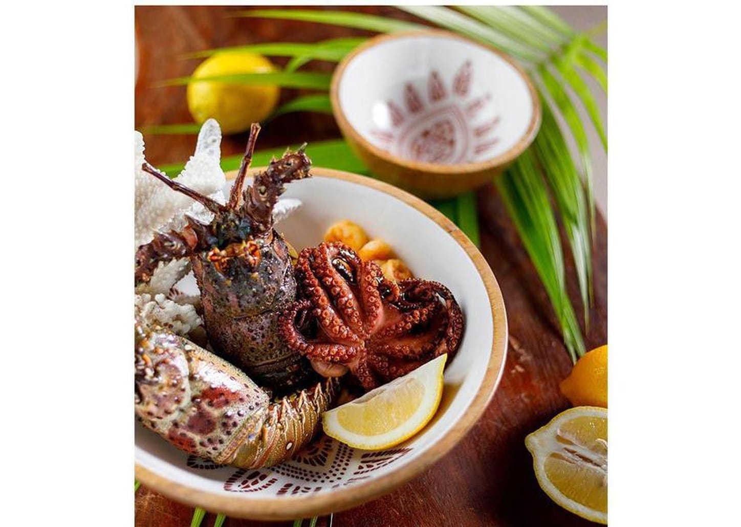 Bowl Mandacaru Martha Medeiros Terra 22cm