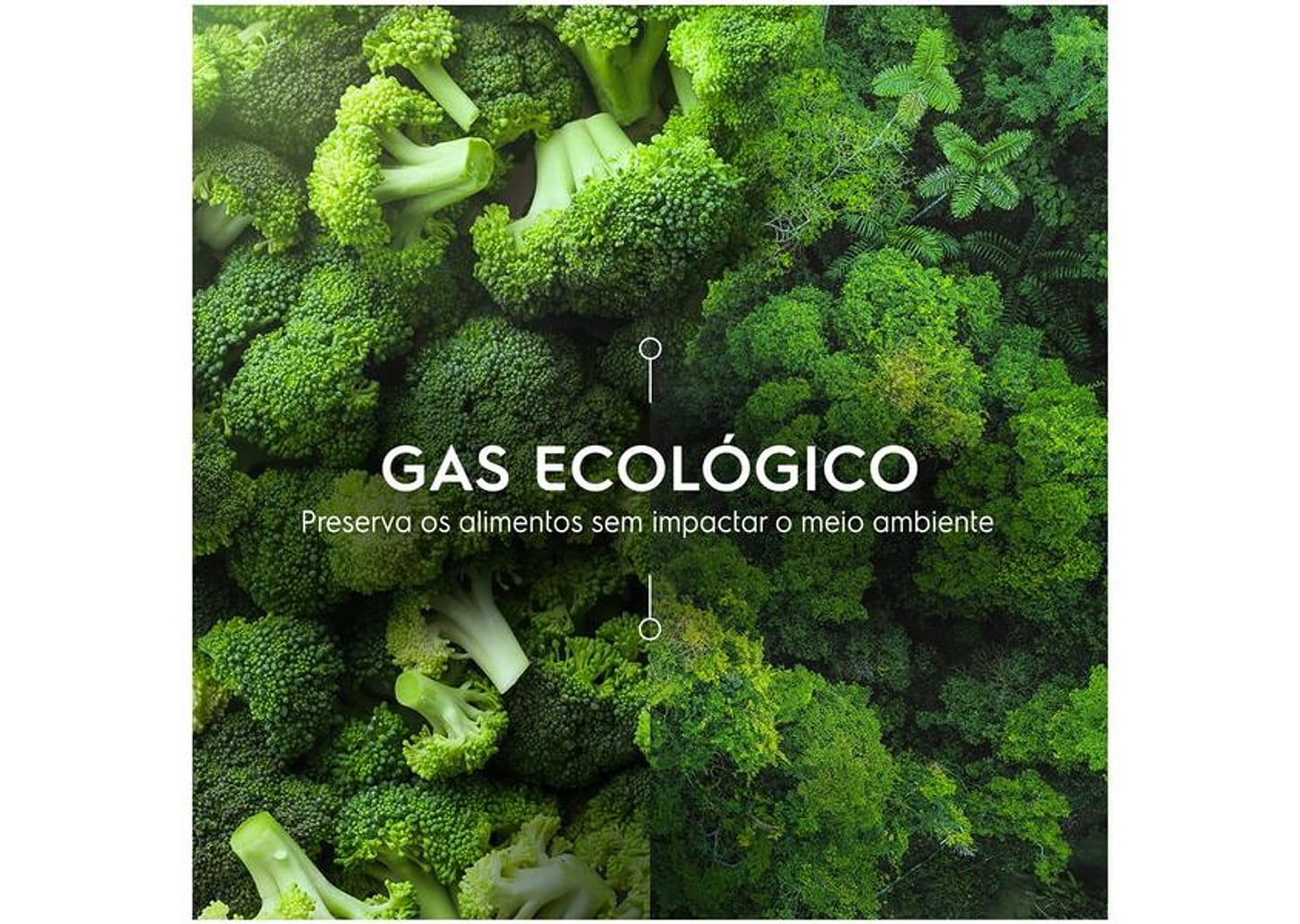 Adega Electrolux 29 Unidades com Compressor - Dual Zone Preto com LED 1 Porta WDF29