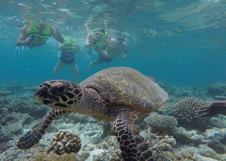 Maldivas - Snorkeling Safari