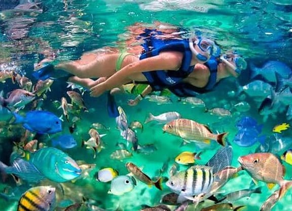 Presentes para a lua de mel Snorkel no Parque Nacional Ras Mohamed