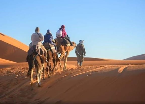 Presentes para a lua de mel Excursão ao deserto de Riyadh