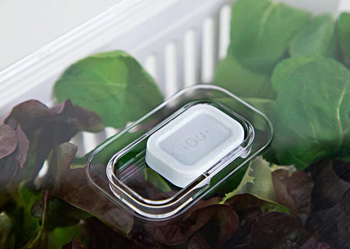 Pote De Acrílico Com Cesto Ou Clear Fresh Natural 30x15x13cm 5l