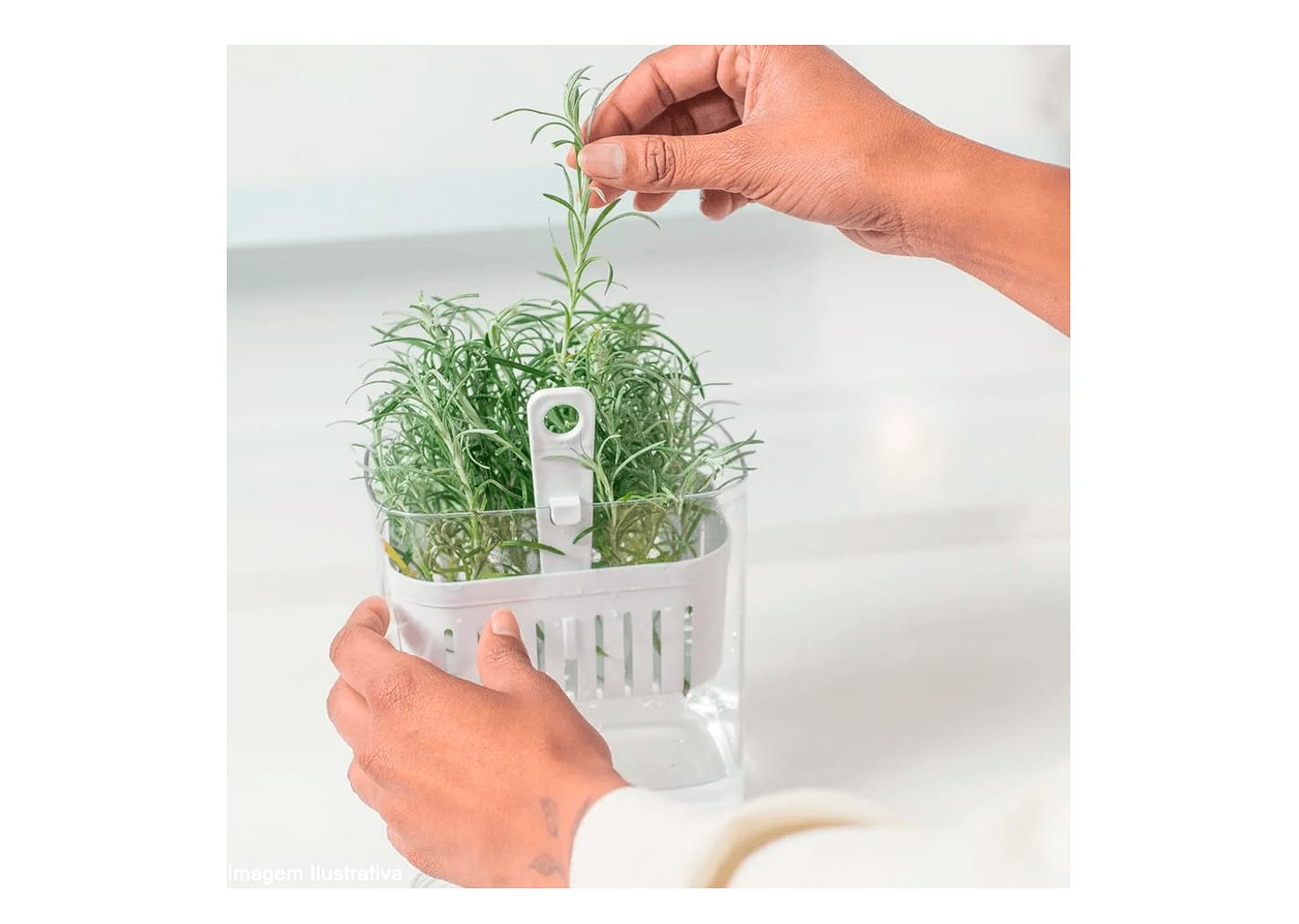 Organizador De Temperos Ou Clear Fresh 14x10x15cm 1,5l