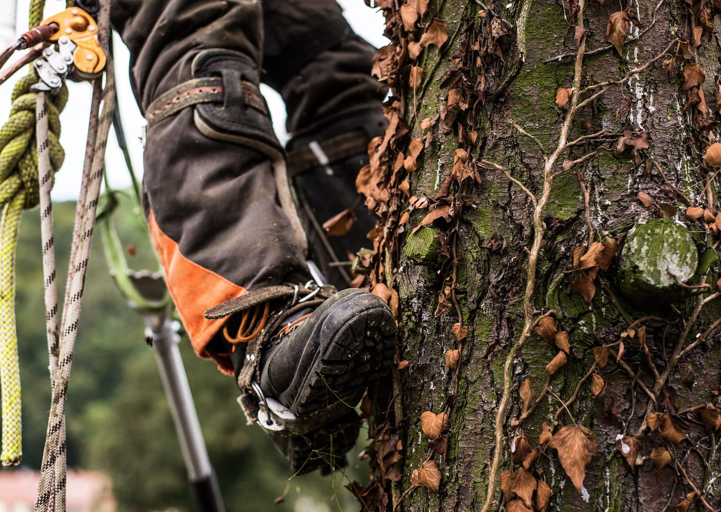 Bota para trilha - por pessoa