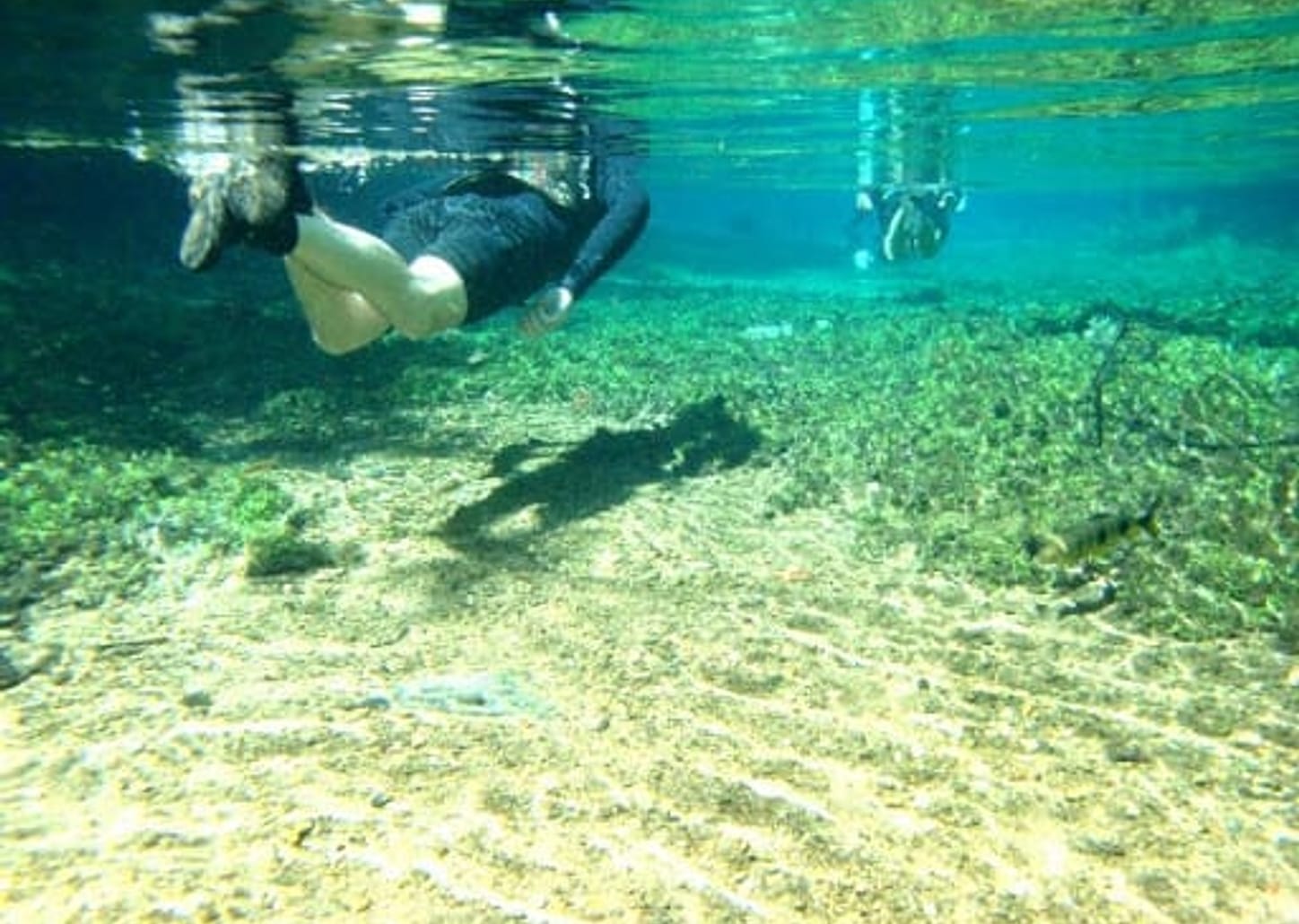 Flutuação no Rio Prata - por pessoa