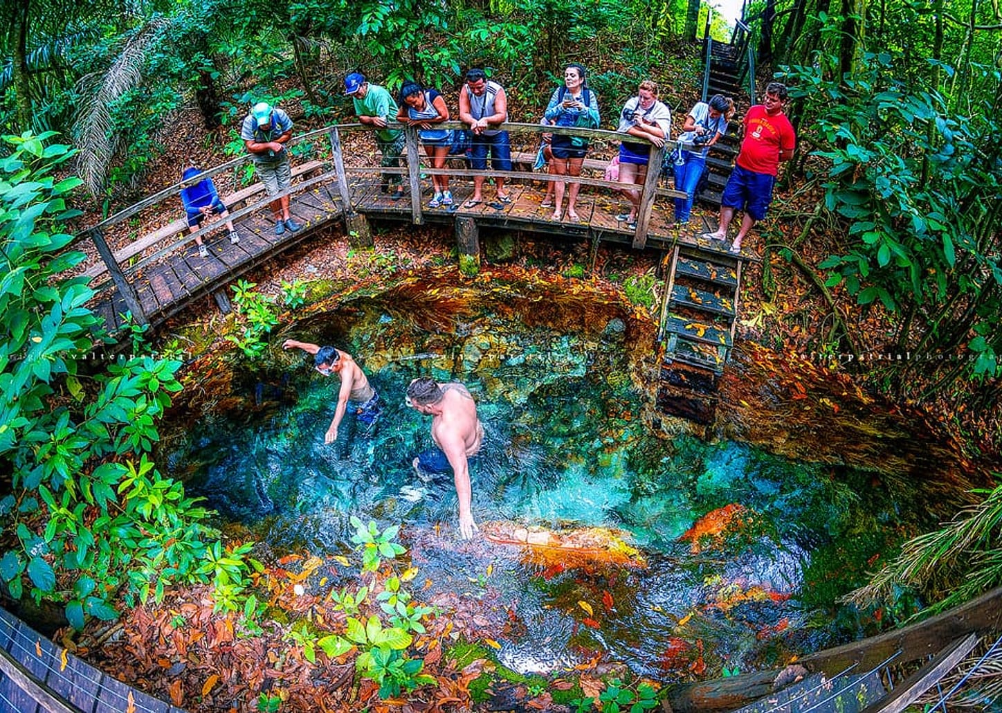 Tour na Fazenda Ceita Corê - por pessoa