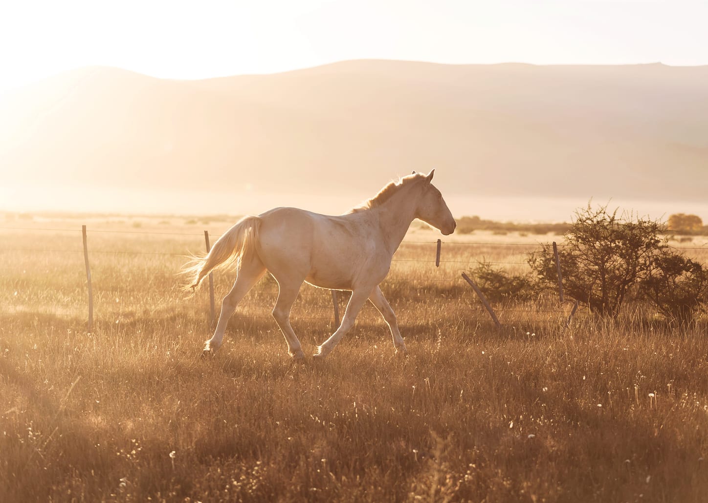 Passeio a cavalo - por pessoa