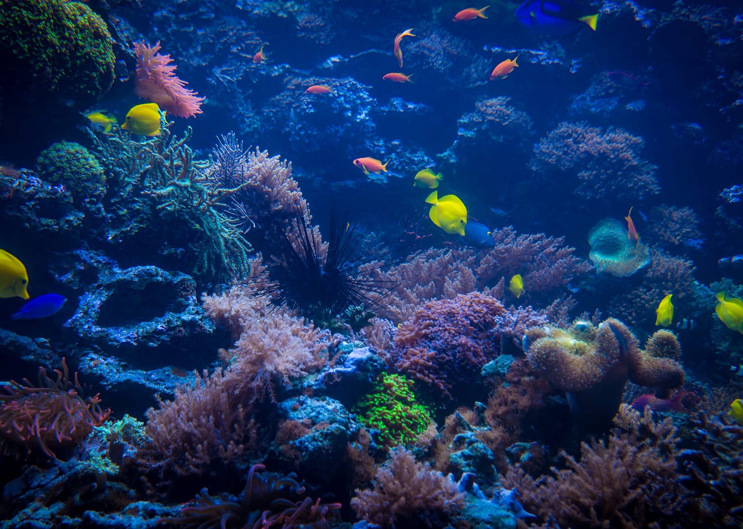 Passeio no Aquário de Bonito - casal