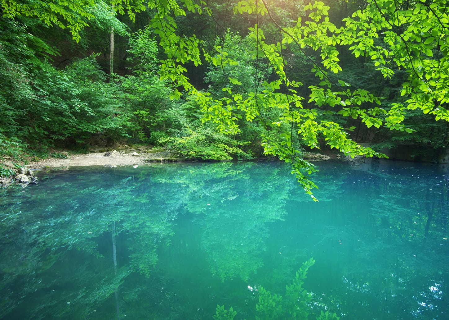 Transfer do aeroporto para o hotel em Bonito - por pessoa